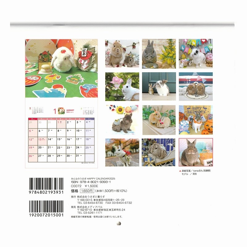 うさぎ うさぎと暮らす 2025年1月号 (発売日2024年12月13日) | 雑誌/定期購読