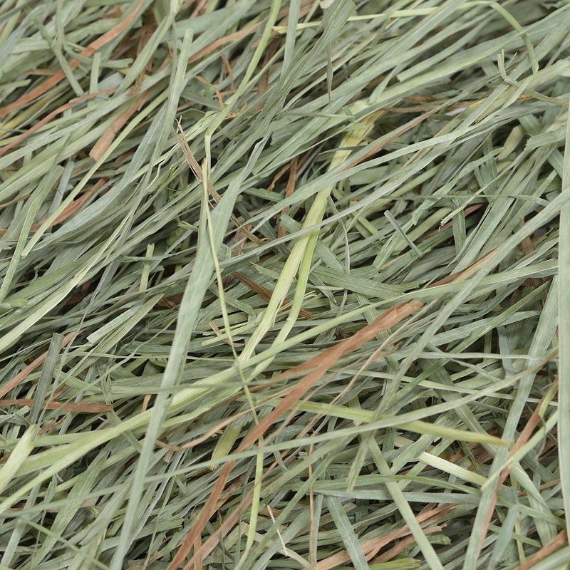 ウーリーのセレクト牧草「うーちゃーど」600g