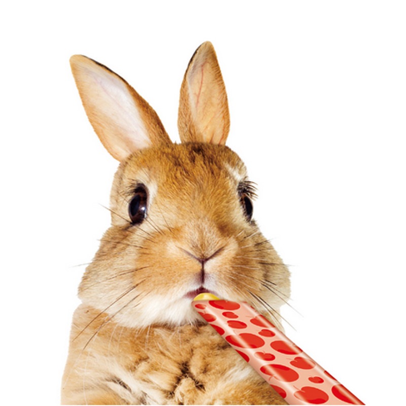 おれんじうさぎ IMG_1518-scaled.jpg