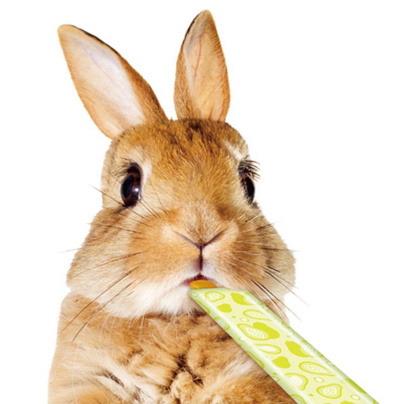 まるうさぎ　superbeautyスーパービューティ♥️可愛い 4個】お菓子なクマちゃん&ウサちゃん くま うさぎ【デコパーツ】D-0627