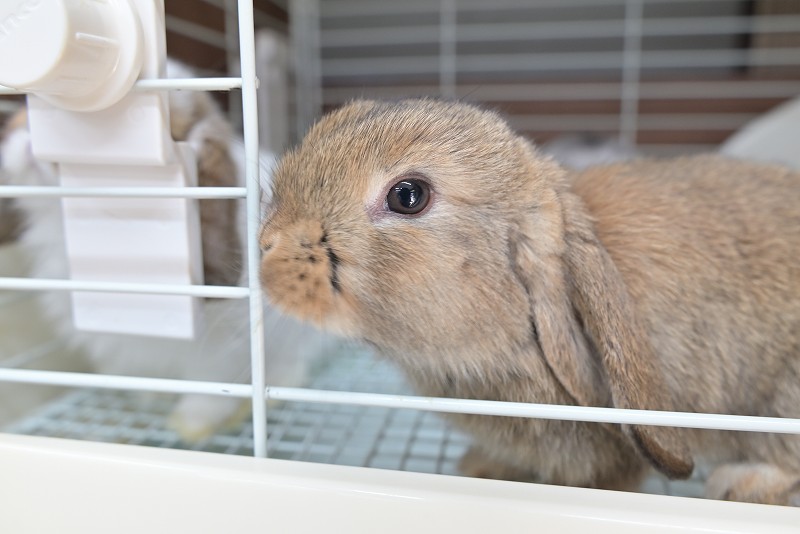 ミックス No.1505