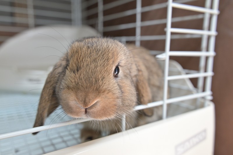 ミックス No.1505