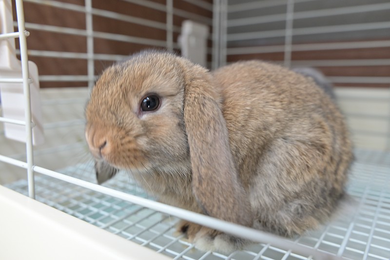 ミックス No.1505