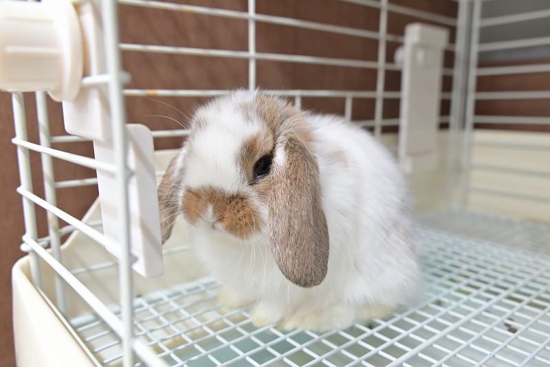 ミックス No.1507