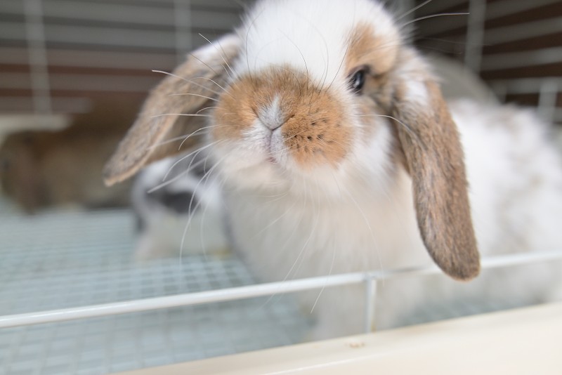 ミックス No.1507