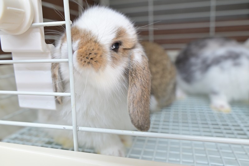 ミックス No.1507