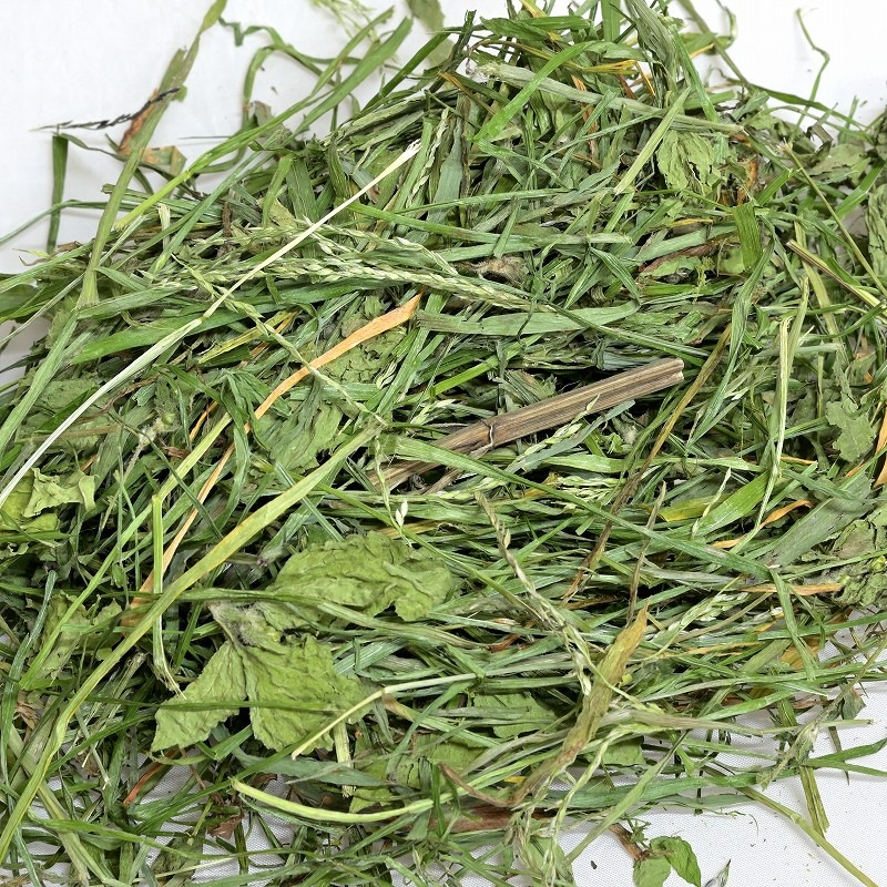 ファーマーズ バランスミックス「牧草×野草×野菜」40g ※11月収穫分(商品写真更新)