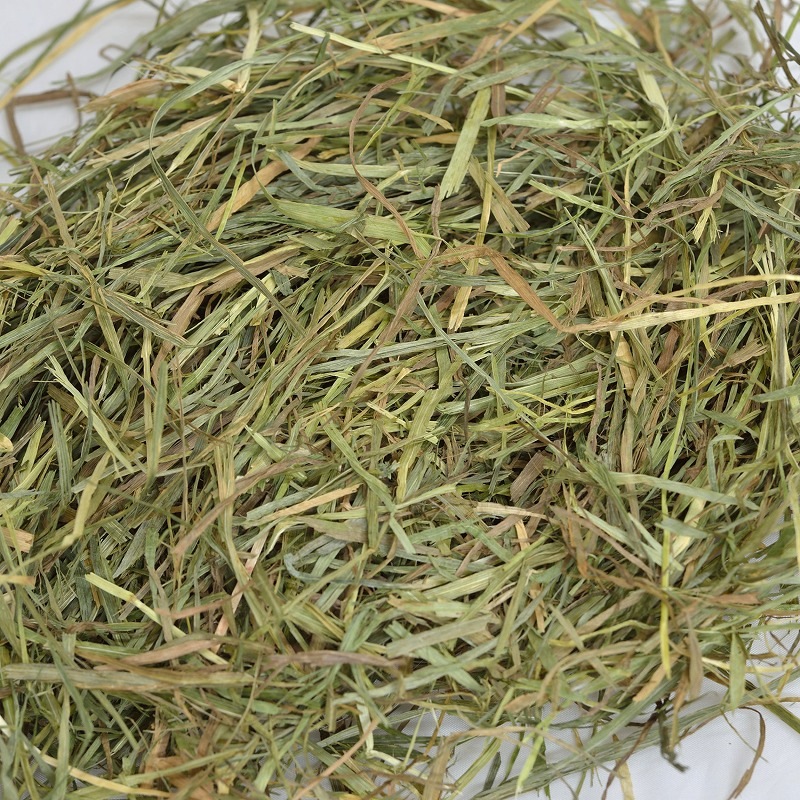 ウーリーのセレクト牧草「ソフトティモシー」カナダ産 600g