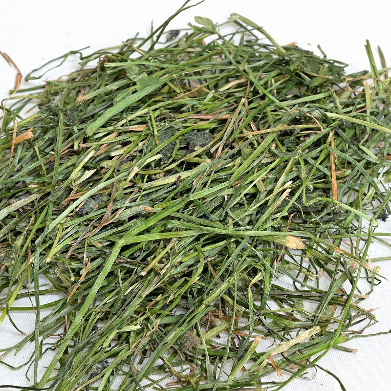 ファーマーズ 特秀牧草 イタリアンライグラス 70g ※国産 ※無農薬・無肥料・無除草剤