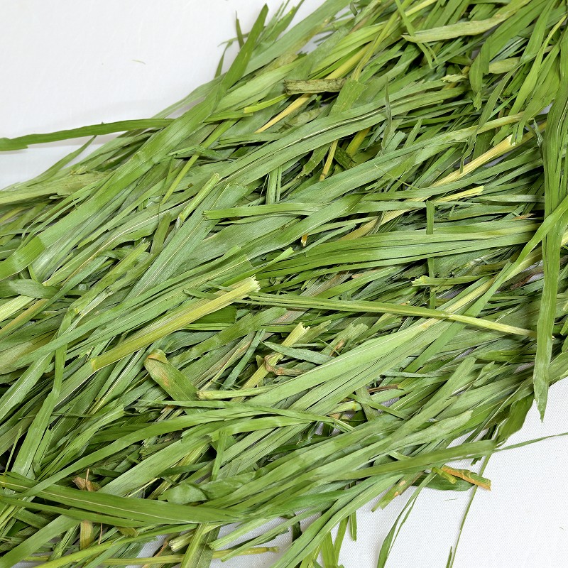 2026高原の朝採り牧草「オーツヘイ」ヤング 400g ※2026年4月9日発売 ※1