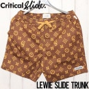 [åݥб] ܡɥ硼 եѥ Critical Slide ƥ륹饤 TCSS ƥ LEWIE SLIDE TRUNK BS2216