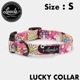 ���� ���� Leeds Dog Supply �꡼���ɥå����ץ饤 LUCKY COLLAR S������ ��������Ź������