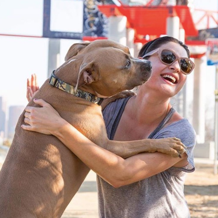 ������̵���� Leeds Dog Supply �꡼���ɥå����ץ饤 HANK STEP IN HARNESS �ɥå��ϡ��ͥ� S������