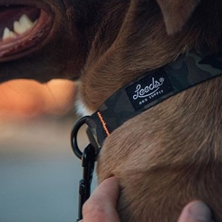 ������̵���� Leeds Dog Supply �꡼���ɥå����ץ饤 HANK STEP IN HARNESS �ɥå��ϡ��ͥ� S������