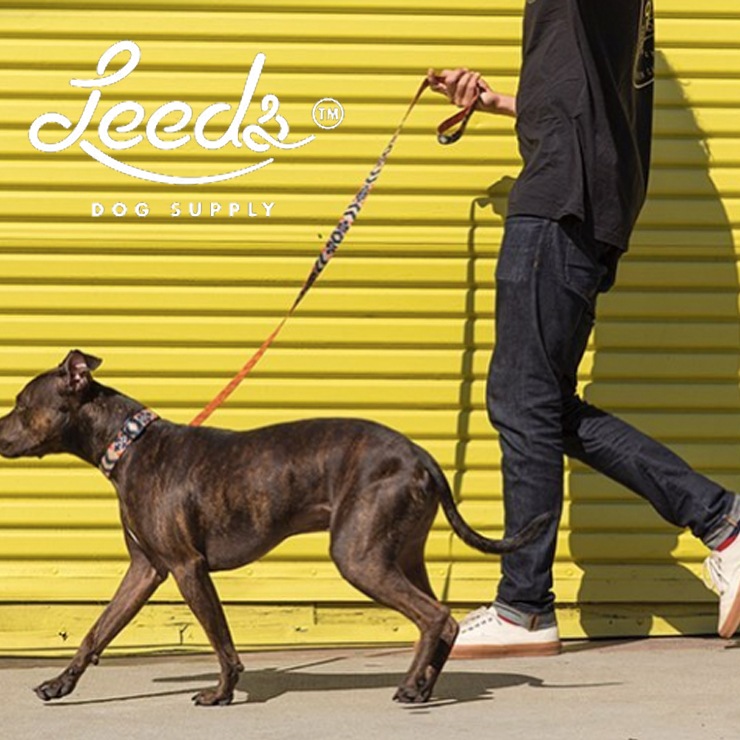 ���� ���� Leeds Dog Supply �꡼���ɥå����ץ饤 LUCKY COLLAR L������ ��������Ź������