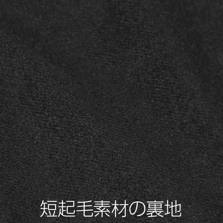 [����å��ݥ����б�] VANS ������ TORREY COACHES JACKET ���������㥱�å� VN0002MUY28