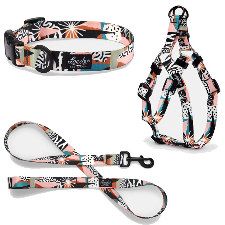 ���ѥ꡼�� �ɥå��꡼�� Leeds Dog Supply �꡼���ɥå����ץ饤 LYNX LEASH S������