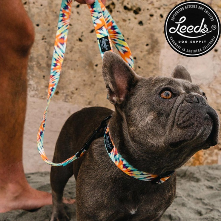 ������̵����Leeds Dog Supply �꡼���ɥå����ץ饤 ASHBURY STEP IN HARNESS �ɥå��ϡ��ͥ� ���ѥϡ��ͥ� S������