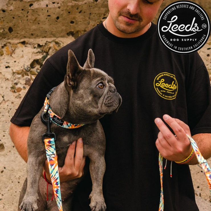 ������̵����Leeds Dog Supply �꡼���ɥå����ץ饤 ASHBURY STEP IN HARNESS �ɥå��ϡ��ͥ� ���ѥϡ��ͥ� S������
