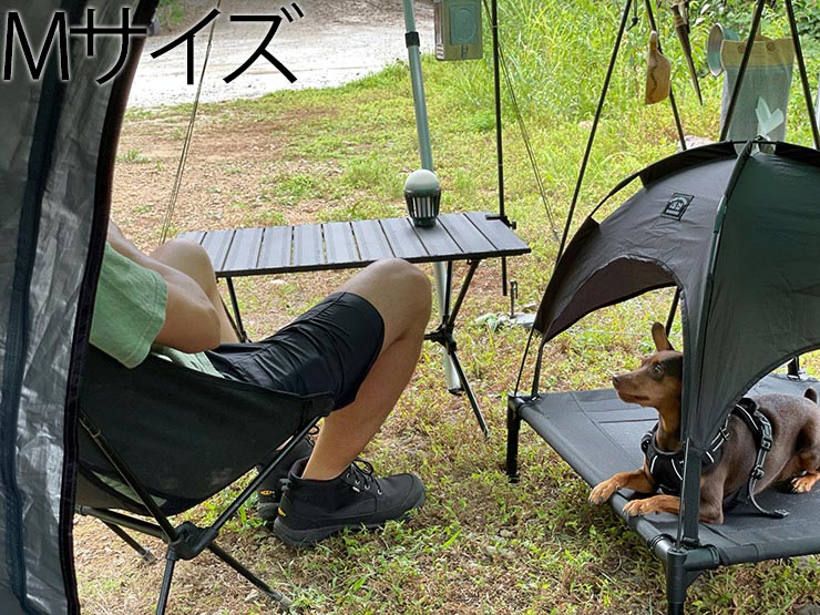 5050WORKSHOP �ե��եƥ��ե��եƥ��������å� withPET ANML TENT ���˥ޥ�ƥ�� �ɥå��ƥ�� �ɥå����å� ������ M������ TR019-5PT [FB]