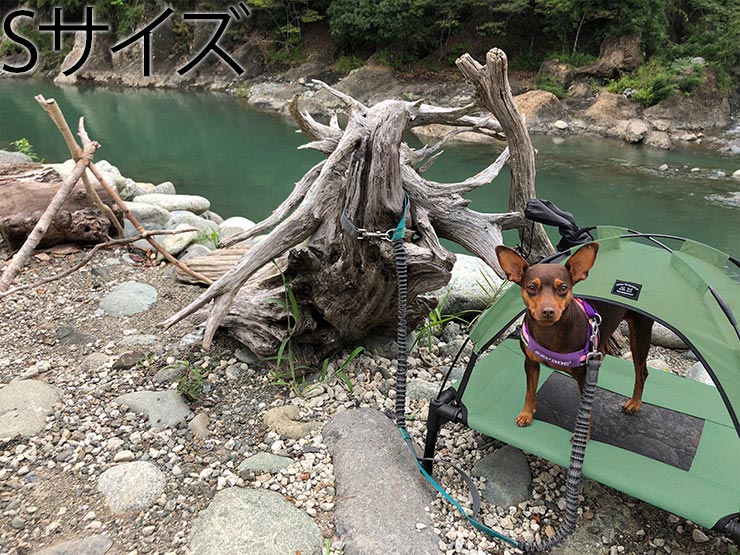 5050WORKSHOP �ե��եƥ��ե��եƥ��������å� withPET ANML TENT ���˥ޥ�ƥ�� �ɥå��ƥ�� �ɥå����å� ������ M������ TR019-5PT [FB]