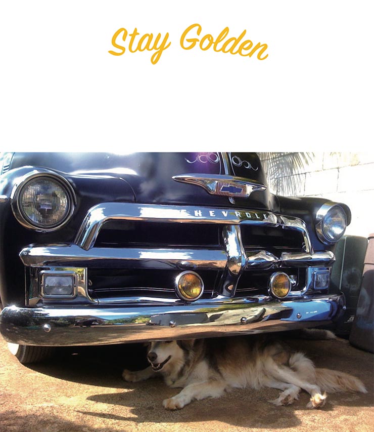ȾµT����� Grants Golden Brand �����ĥ�����ǥ�֥��� CRUISIN S/S TEE BLACK ��������Ź������