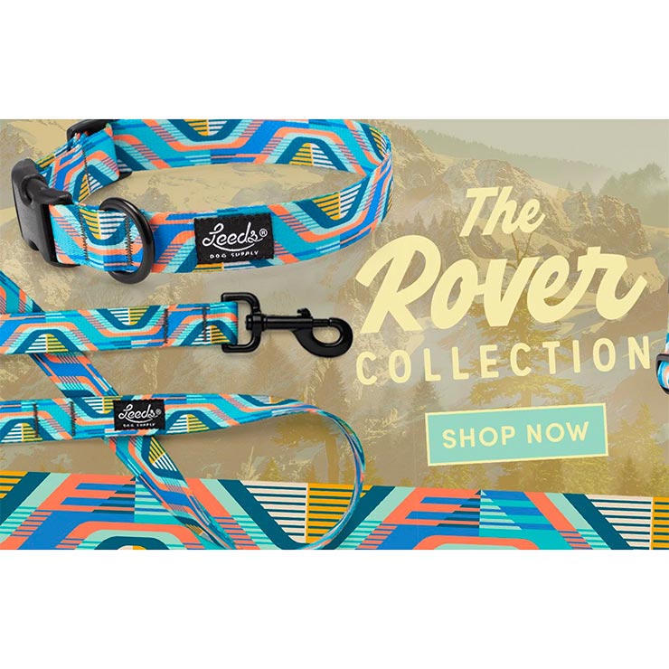 ���� ���� Leeds Dog Supply �꡼���ɥå����ץ饤 ROVER COLLAR S������