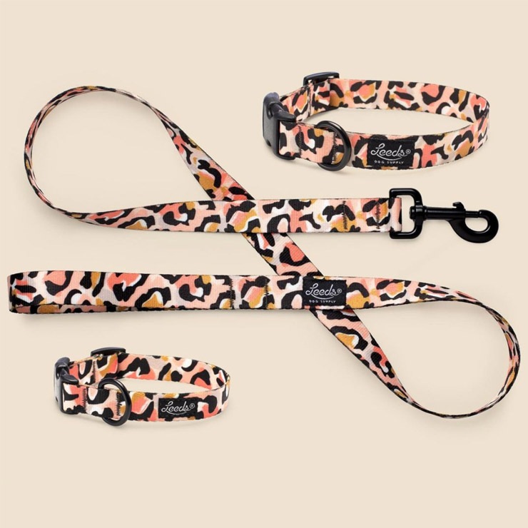 ������̵����Leeds Dog Supply �꡼���ɥå����ץ饤 COCO STEP IN HARNESS �ɥå��ϡ��ͥ� M������