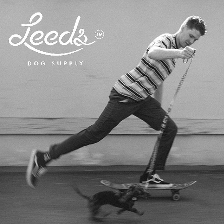 ������̵����Leeds Dog Supply �꡼���ɥå����ץ饤 COCO STEP IN HARNESS �ɥå��ϡ��ͥ� M������