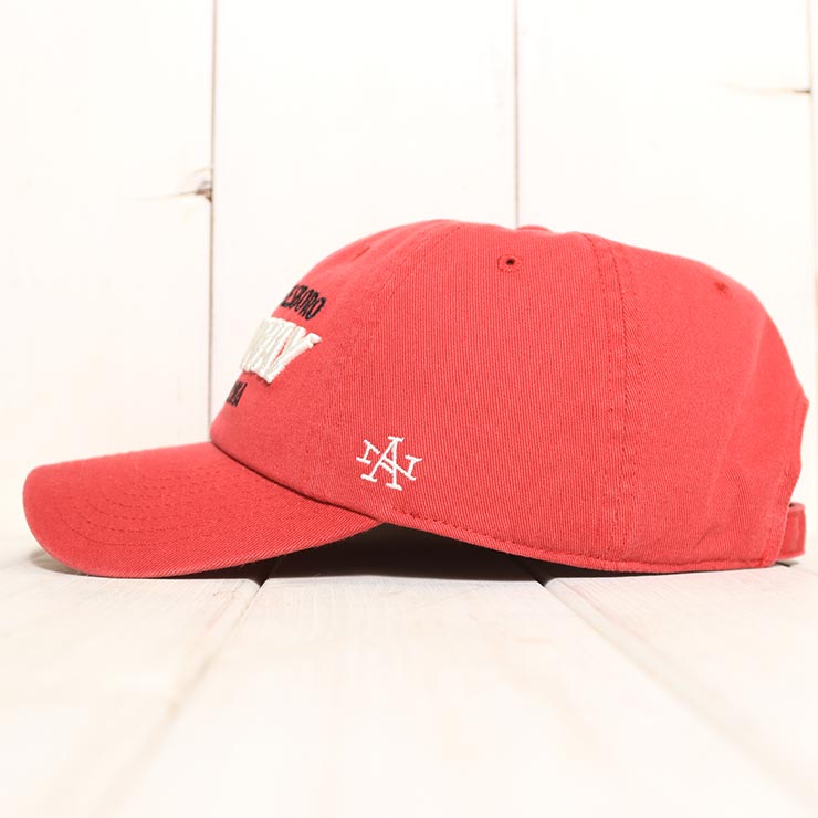 ̵ۥȥåץå ˹ AMERICAN NEEDLE ꥫˡɥ North Wilkesboro Ballpark side SMU674A-NWILKES Ź