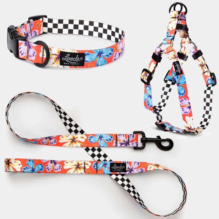 【送料無料】犬用リード ドッグリード Leeds Dog Supply リーズドッグサプライ ALOHA DEUX LEASH Lサイズ