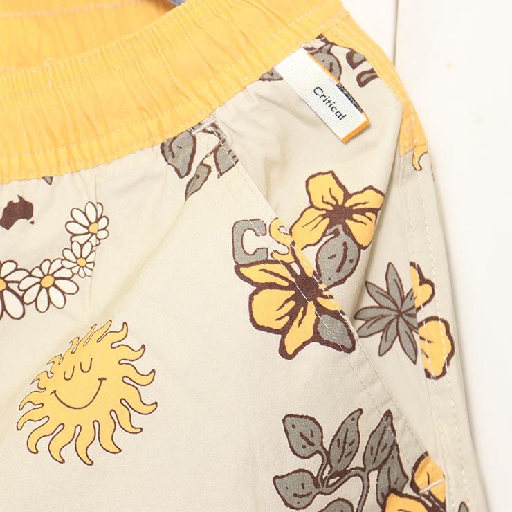 [����å��ݥ����б�] �ܡ��ɥ��硼�� �����եѥ�� Critical Slide ����ƥ����륹�饤�� TCSS �ƥ��������������� DOWN TO EARTH TRUNK BS2202