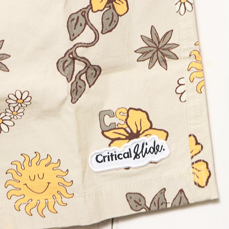 [����å��ݥ����б�] �ܡ��ɥ��硼�� �����եѥ�� Critical Slide ����ƥ����륹�饤�� TCSS �ƥ��������������� DOWN TO EARTH TRUNK BS2202