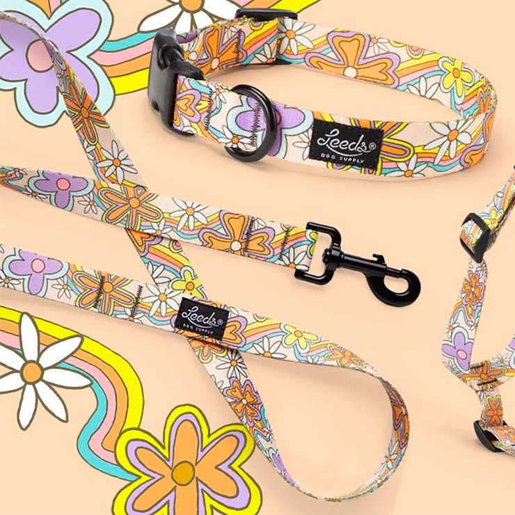 ���� ���� Leeds Dog Supply �꡼���ɥå����ץ饤 DAZEY COLLAR S������