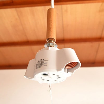 ������ ��