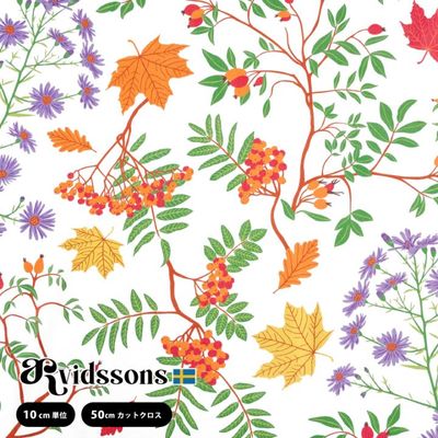 ϡۥӥåɥ󥺡ƥ롿ARVIDSSONS TEXTIL hostaster ۥȥ