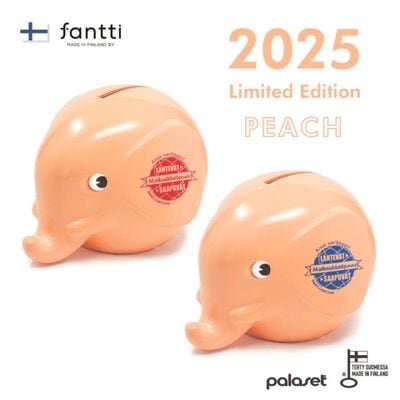 2025AWꥫ顼 Fantti եƥ եȥХ S ԡ̸ 