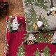 �����ס����ϡۥ�åɥ�󥺡�Redlunds ���Ρ��ե����� ��2�� 10cmñ�̢�