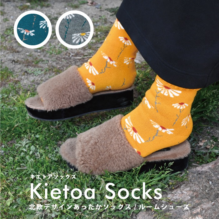 STUDIO HILLA ҥå ȥå Paivankakkara ǥǥ 3