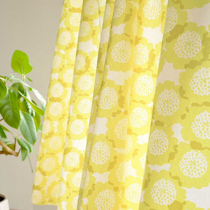 �����ϡۥ��������ҥå顿 STUDIO HILLA�����å�����Kukkia����6�� ��