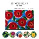 ���إޥå� ������ / BOOKHOU COLLECTION Kleen-Tex 45��65cm����6��