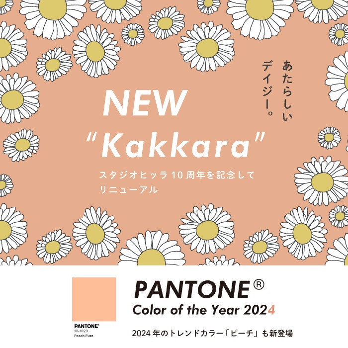 �����ϡ�2024AW RENEWAL!! STUDIO HILLA 10th ANNIVERSARY �������� �ҥå顿STUDIO HILLA���ǥ�������kakkara����5����