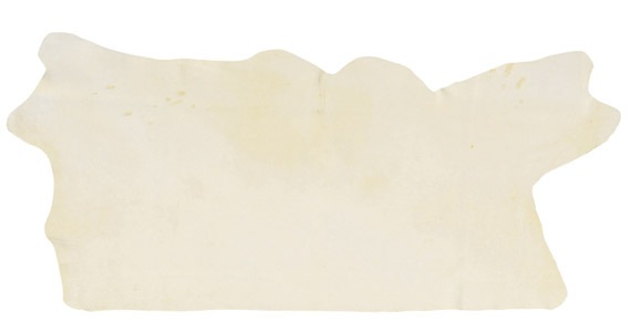 ��������������������ס�L������