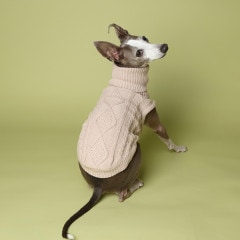 イタグレ服　Lunetta スノースーツ　Mサイズ イタグレ服 Lunetta スノースーツ Mサイズ
