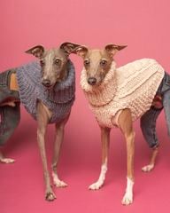 商品ラインナップ | イタグレ服のLunetta