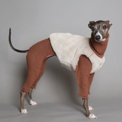 イタグレ服　Lunetta コート イタグレ服のLunetta