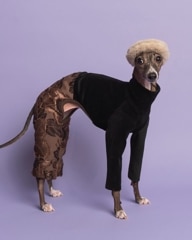 Vintage Flower Pants