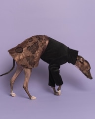 3ܤϤVintage Flower One-piece