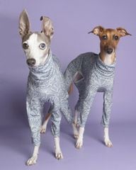 商品ラインナップ,ロンパース | イタグレ服のLunetta