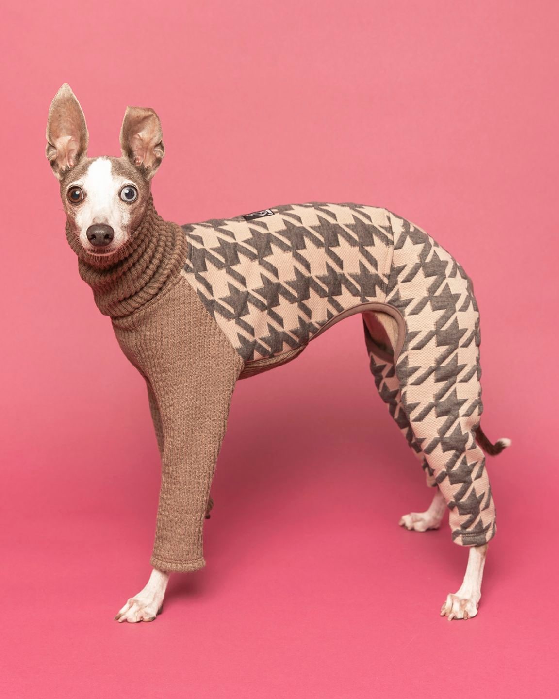 Lunetta ボアロンパース 花柄 M イタグレ アイボリー Jacquard